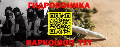 хмурый Кингисепп