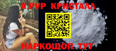 хмурый Кингисепп