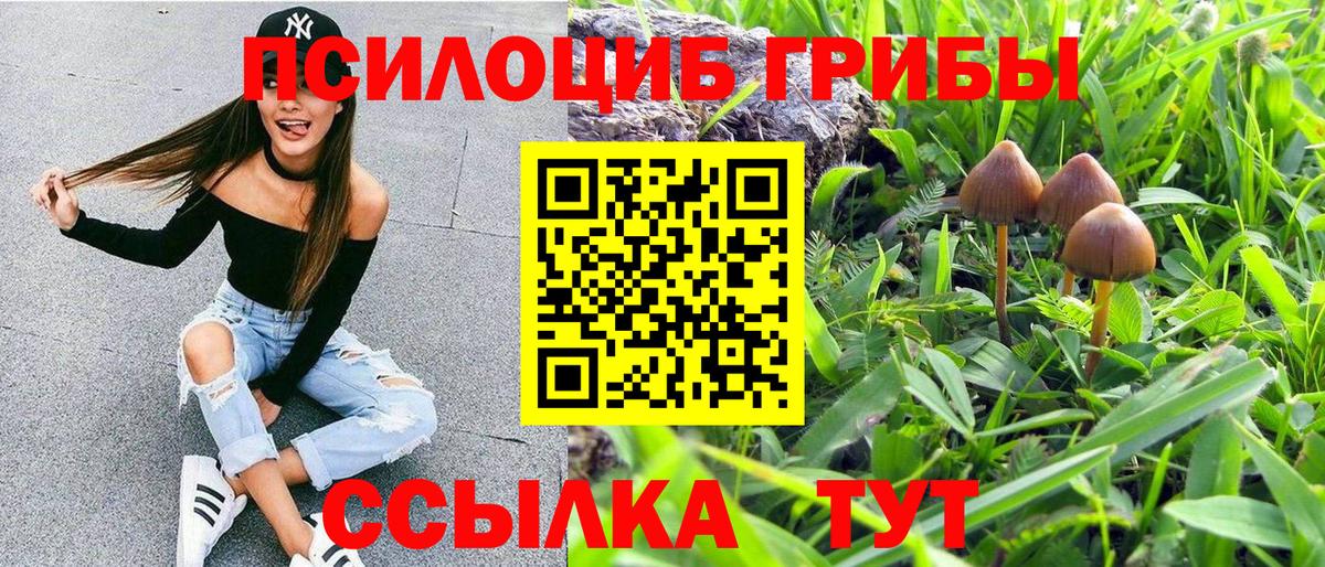 Псилоцибиновые грибы мицелий Куйбышев