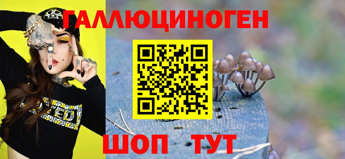 Галлюциногенные грибы Cubensis  Вход с VPN  Куйбышев  Галлюциногенные грибы Psilocybine cubensis 