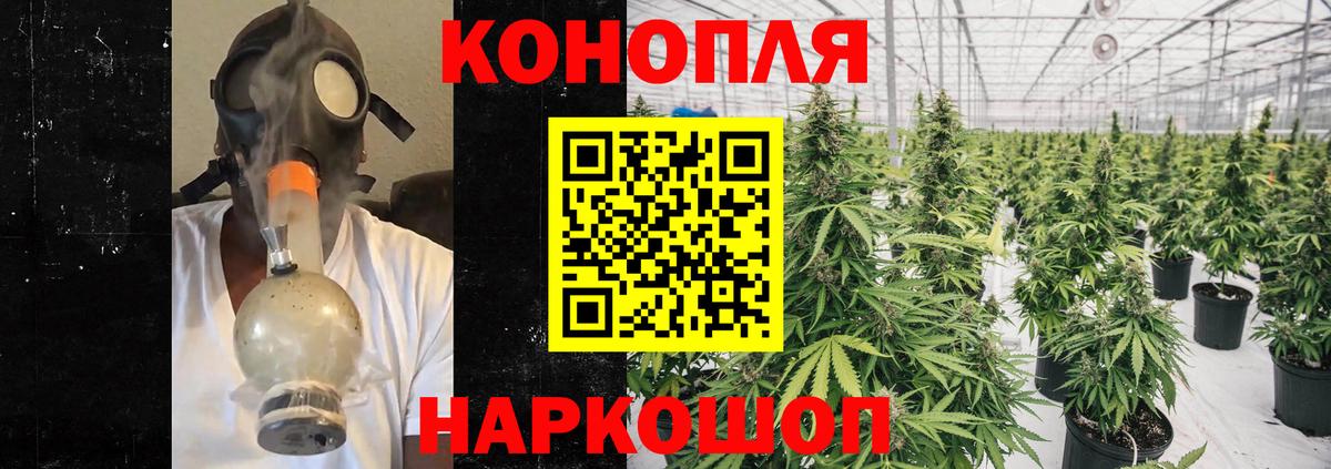 Шишки марихуана семена  Вход с VPN  Куйбышев  Шишки марихуана планчик  Бошки Шишки план  МАРИХУАНА гибрид 